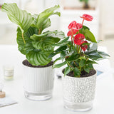 Self Watering Pots for Indoor Plants, 4pcs Small Pots for Plants, Indoor Plant Pots, Plant Pot for Indoor Plants, Self Watering Planter, Self Watering Pot, Easy Plant Self Watering Pot (4+5.3inch)