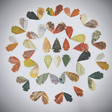 50 PC Lot Flint Arrowhead OH Collection Project Spear DIY Points arrowheads