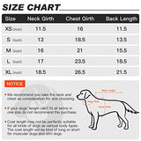 DILLYBUD Winter Dog Raincoat Jacket, Waterproof Windproof Hooded Slicker Poncho with Fleece Liner and Leash Hole for Small to X-Large Dogs and Puppies Boys Girls Dog Clothes for Cold Days,Red XL
