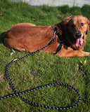 Long Dog Leash for Dog Training 10FT 16FT/30FT/50FT/100FT, Reflective Threads Rope Dog Leash, Heavy Duty Dog Lead for Large Medium Small Dogs Walking Playing, Camping, or Yard