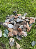 50 PC Lot Flint Arrowhead OH Collection Project Spear DIY Points arrowheads